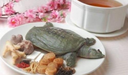 甲鱼冰冰吃瓜解读,揭秘娱乐圈幕后真相