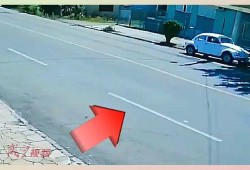 停车场吃瓜事件,一场意外引发的全民热议