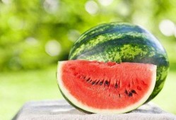 阆中酒窝酒吧吃瓜,一场别开生面的吃瓜盛宴