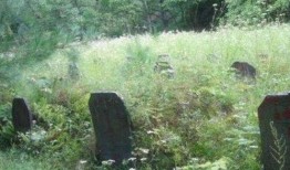 坟地吃瓜小说,吃瓜群众的神秘探险之旅