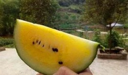 黄老板吃瓜,揭秘娱乐圈幕后真相