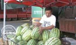 吃瓜第33天,揭秘娱乐圈背后的秘密与真相