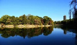 未名湖吃瓜,一场校园文化的狂欢