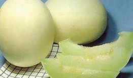 沙漠蜜瓜甜瓜怎么吃,解锁甜瓜的多重美味食用方式