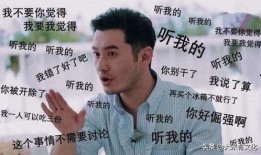 中餐厅综艺吃瓜,揭秘幕后吃瓜大作战，明星厨艺对决背后的趣味故事