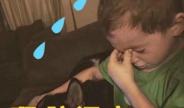 18岁吃瓜视频,揭秘网络世界的青春热点