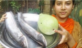 印度白瓜怎么吃,探索美味与健康的完美结合