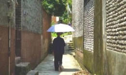 雄县温泉吃瓜事件,一场引发热议的休闲争议