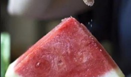 日本吃瓜加盐,吃瓜加盐的奇妙体验