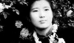 陈凯吃瓜,揭秘娱乐圈幕后真相