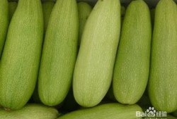 印度白瓜怎么吃,探索美味与健康的完美结合