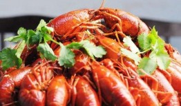 龙虾吃小瓜吗怎么吃的,揭秘它们如何享用小瓜