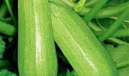 张洽吃瓜,揭秘娱乐圈幕后故事