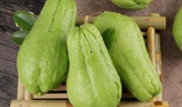 药材瓜怎么吃,瓜类药材的多样食用方法探秘