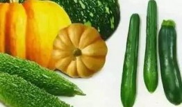 彼岸吃瓜后续,揭秘娱乐圈背后的秘密与真相