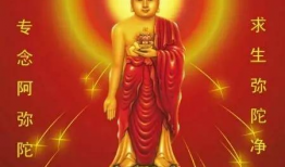 吃瓜念佛往生,探寻心灵升华的奇妙旅程