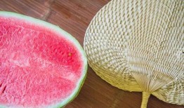 什么瓜能做甜菜吃,揭秘甜菜变美味佳肴的神奇之旅