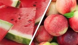 吃瓜的红果果,揭秘娱乐圈那些事儿