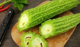 高职吃瓜,揭秘校园生活新潮流