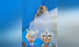 带你吃瓜土拨鼠,带你领略“带你吃瓜土拨鼠”的独特魅力