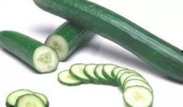 吃树叶瓜,大自然的绿色馈赠