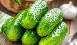 医院内吃瓜,一场意外的“健康”盛宴