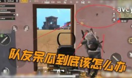 吃鸡视频呆瓜,欢乐搞笑，带你领略游戏魅力