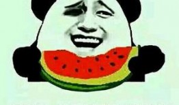 吃瓜群众免费吃瓜球,吃瓜群众狂欢时刻