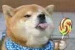 男生爱用吃瓜狗头表情,男生热爱的吃瓜狗头表情解析