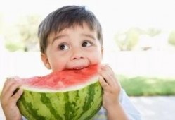 吃瓜的佳句,品味人间百态