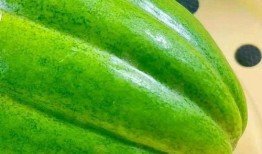 削皮吃的瓜叫什么瓜,揭秘“削皮瓜”的神秘面纱