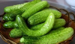 赵立冬吃瓜,揭秘娱乐圈幕后风云